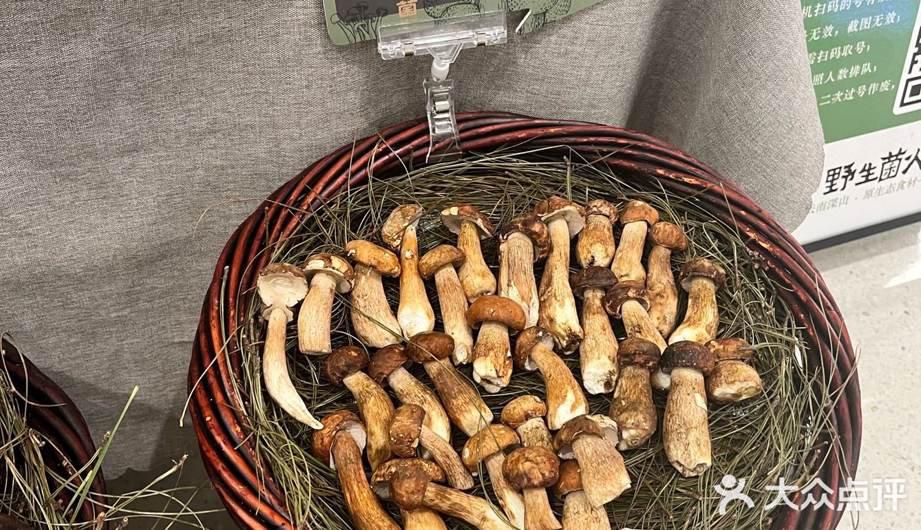 这里的每一道菜都能让你感受到来自云南的纯净与美好