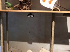 -石舍洒秀咖啡馆