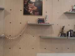 -飞行喵MR PILOT|猫舍·猫咖(静安大融城店)