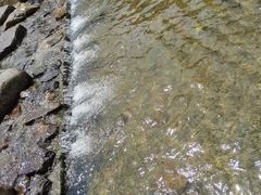 -北仑森林植物园