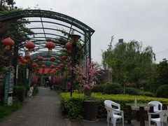 -老磨油饼(高陵店)