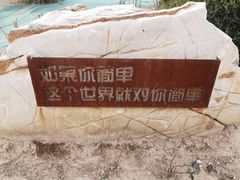 -荣德灶台鱼(圣泉寺店)