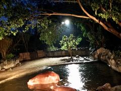 -清迈夜间动物园