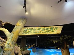 -陕西自然博物馆