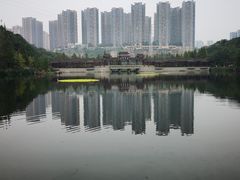 -重庆彩云湖湿地公园
