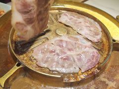 -猪啊牛呀羊啊水煮肉