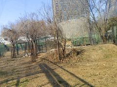 -郑州市动物园