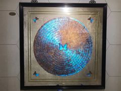 -上海昆虫博物馆