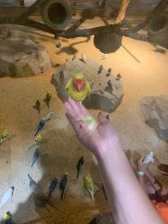 -酷嗒动物文化乐园(cutezoo西溪乐天城店)