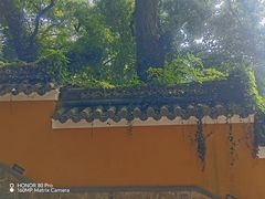 -普陀山风景名胜区-法雨禅寺