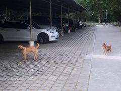 -富隆酒窖(天河北店)