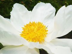 -长春公园(普阳街道)