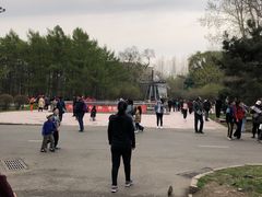 -黑龙江省森林植物园