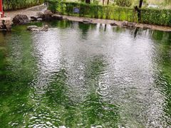 -百脉泉景区