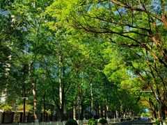 -中国石油大学（北京）(北京西校区)