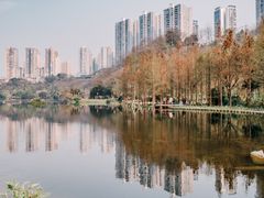 -重庆彩云湖湿地公园