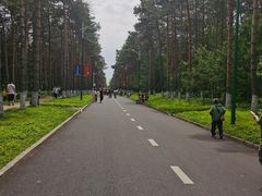 -黑龙江省森林植物园