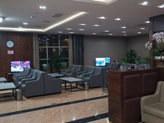 -桃仙机场头等舱休息室