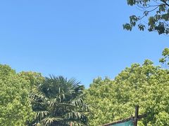 -同里国家湿地公园