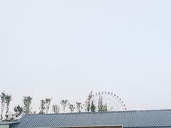 -特克斯八卦城