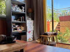 -楼上猫咖(罗湖店)