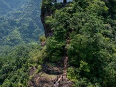 -海南霸王岭国家森林公园