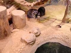 -正佳雨林生态植物园