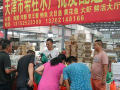 -韩家墅海吉星农产品批发市场
