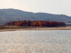 -四明湖