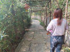 -井塘古村