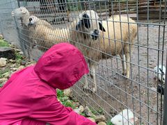 -北京山里寒舍度假酒店