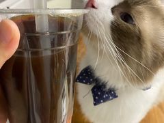 -1点点(宋家庄店)