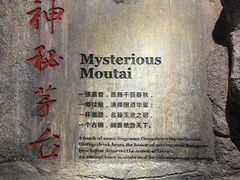 -中国酒文化城