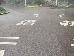 -缙云山景区