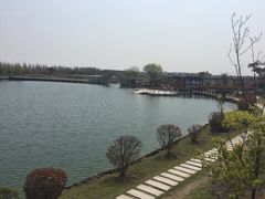 -上海鲜花港