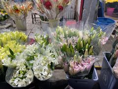 -循礼门鲜花花市(武汉循礼门店)