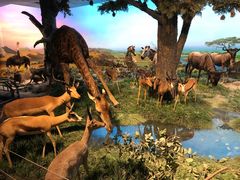 -国家自然博物馆