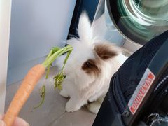 -雨林宠物医院 非犬猫异宠专科