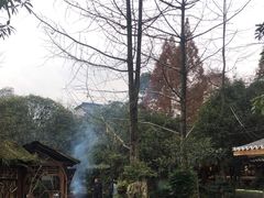 -青城甲(青城山店)