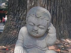 -交通银行(上海莘庄支行)