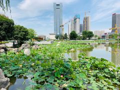 -木塔寺遗址生态公园