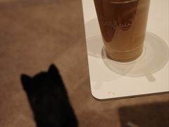 -Seesaw Coffee(西岸凤巢店)