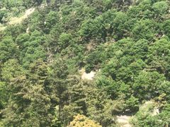 -沂蒙山旅游区云蒙景区(蒙山国家森林公园)