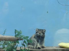 -青藏高原野生动物园