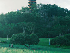 -红花山公园