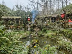 -青城甲(青城山店)