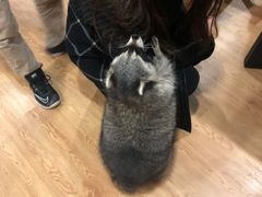 -藦茜花园宠物主题亲子互动体验馆(国顺东路店)