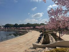 -新江湾城公园