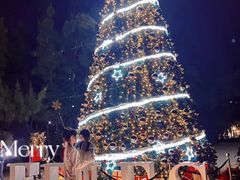 -海南清水湾莱佛士酒店