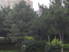 -黑龙江大学